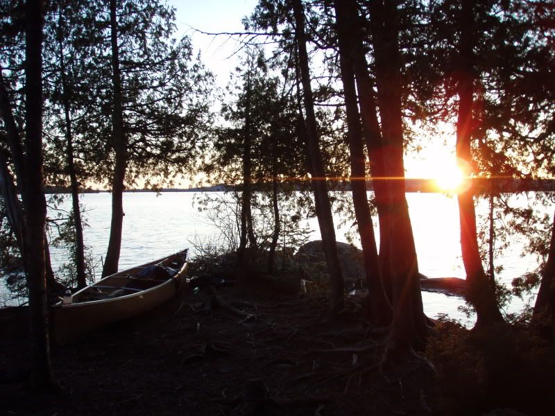 P1010120.jpg