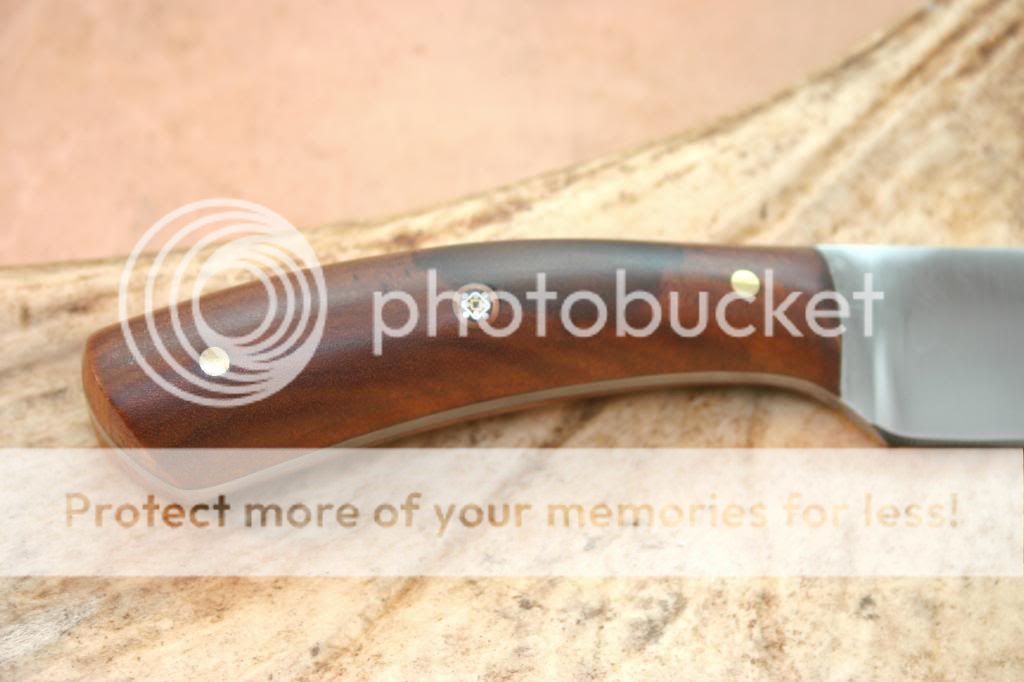 IMG_4316_1_zpsb71a07a7.jpg