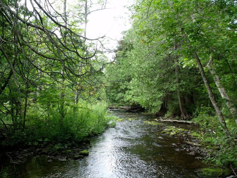 DSCF3528.jpg