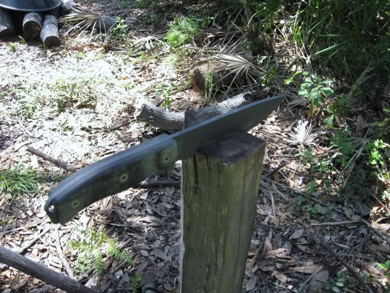 RAT-7D2002.jpg
