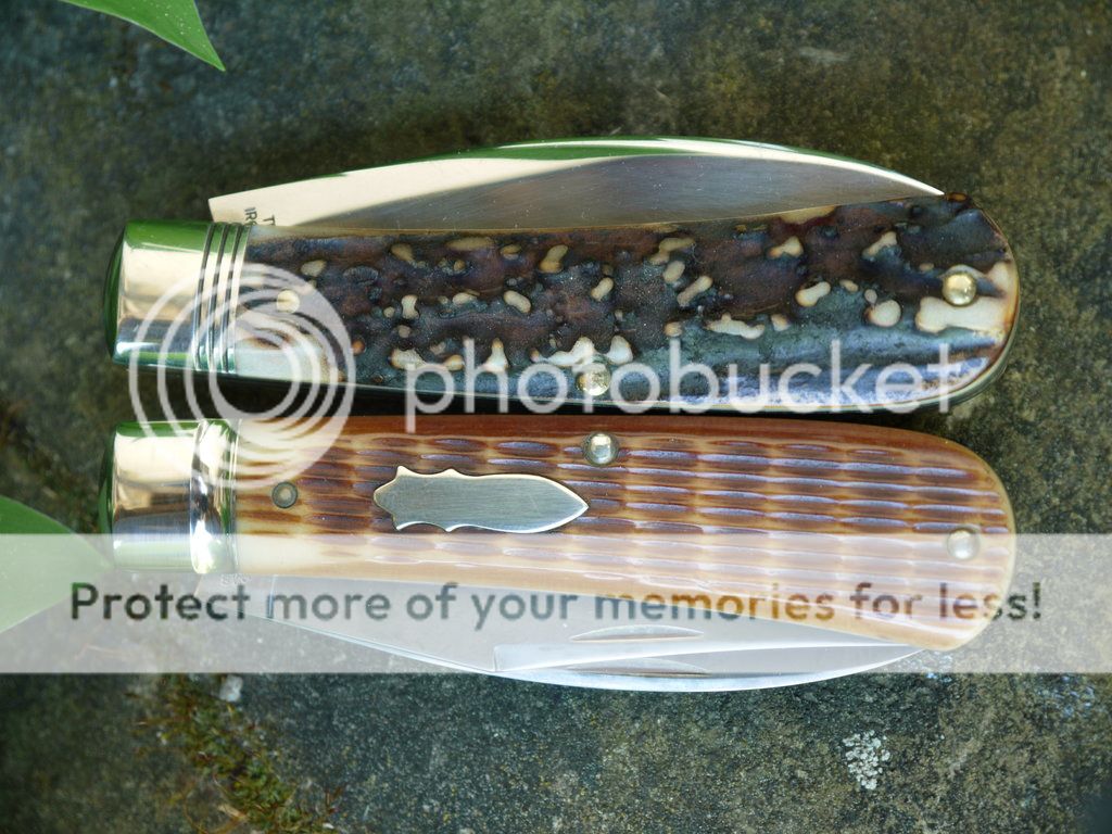 Trapper_08_small_zpsb7859555.jpg
