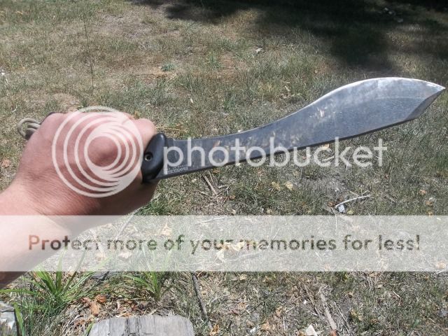 100_1872.jpg