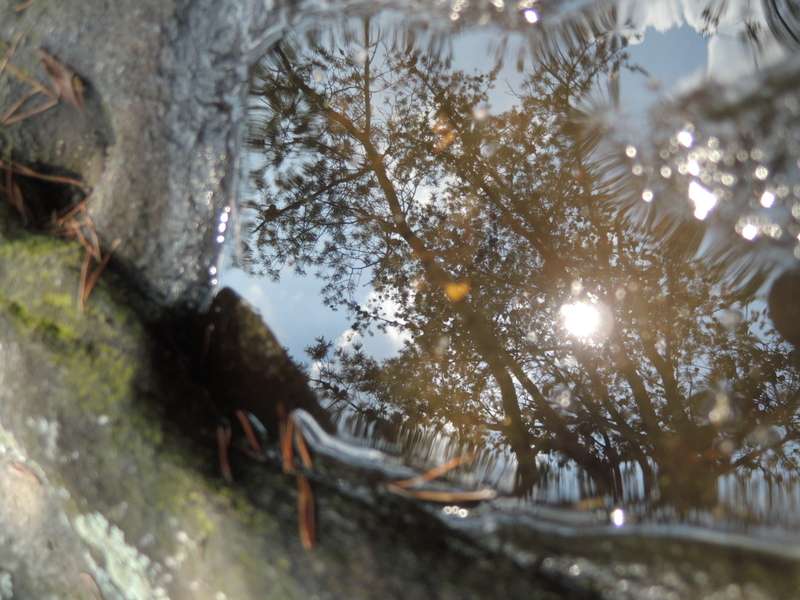 dscn0579p.jpg