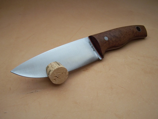 bssss61-vi.jpg
