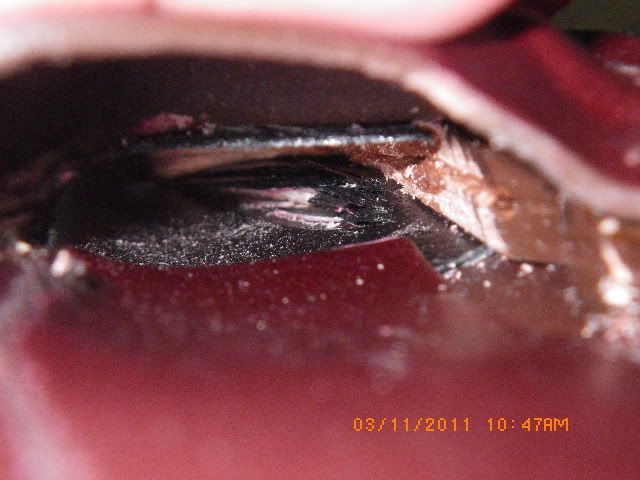 IMGP1854.jpg