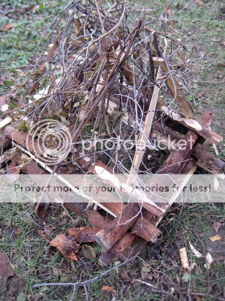 IMG_38462.jpg