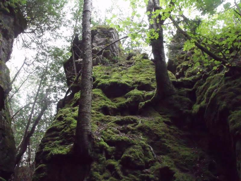 DSCF3499.jpg