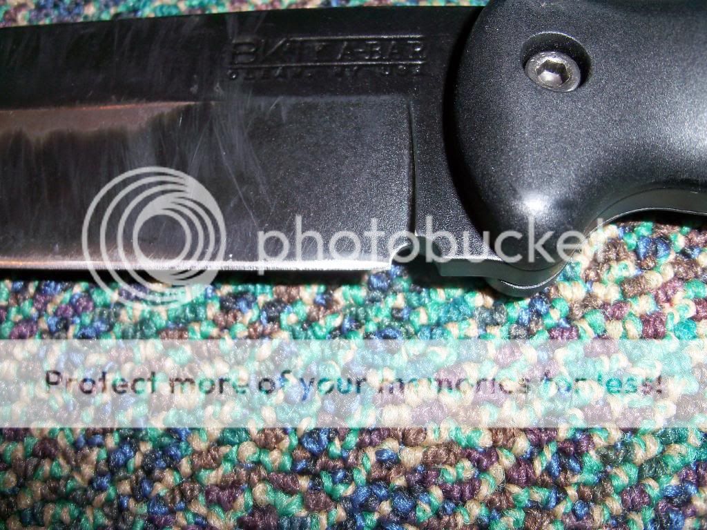 100_4208.jpg