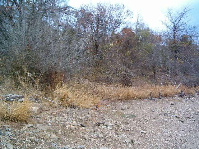 035.jpg