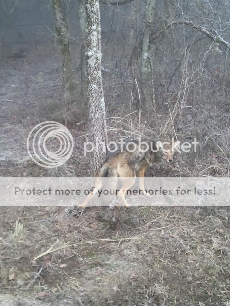 2013-01-26072505_zps0eaa0569.jpg