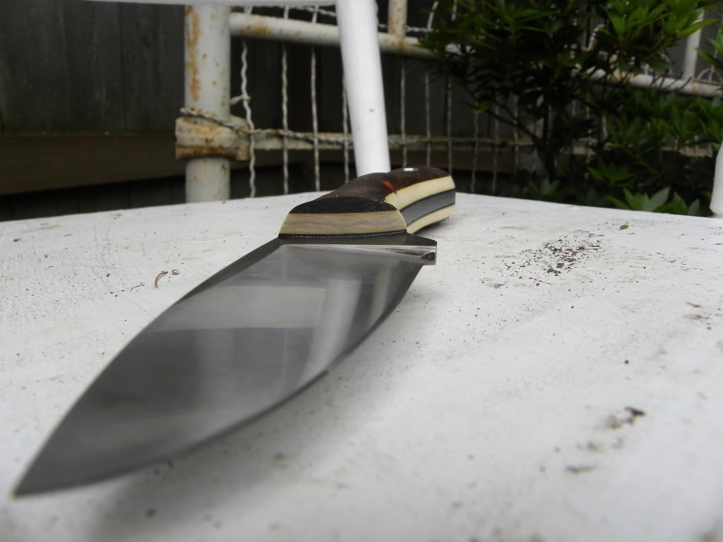 DSCN2256.jpg