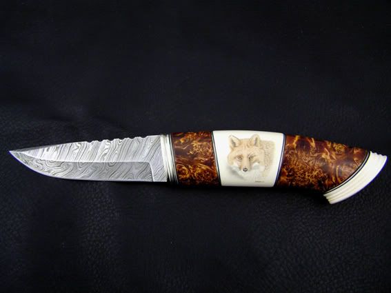 Foxback20.jpg