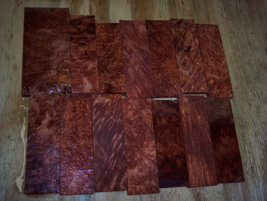redwood1.jpg