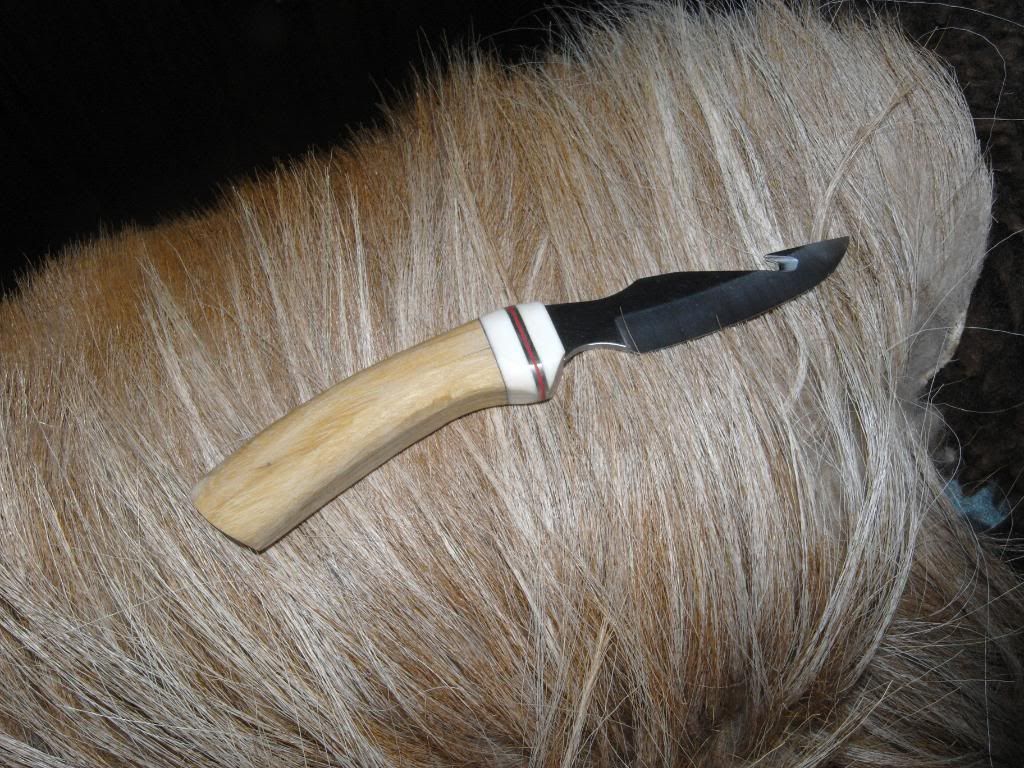 Buck477Rohbau.jpg