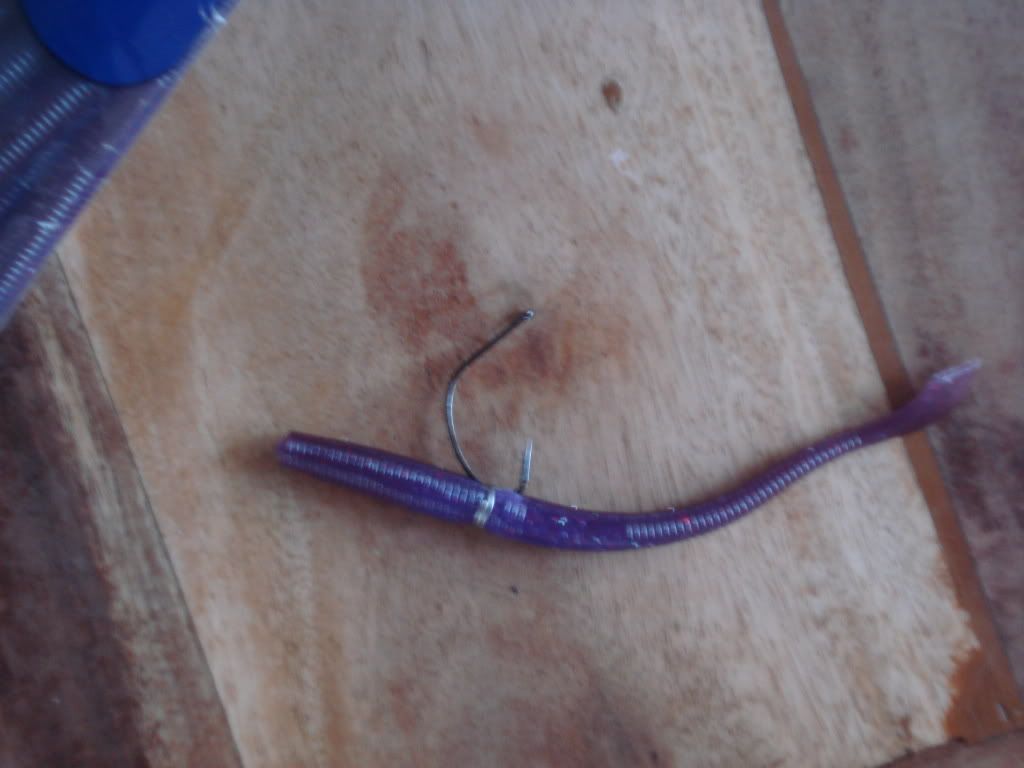 DSC03578.jpg