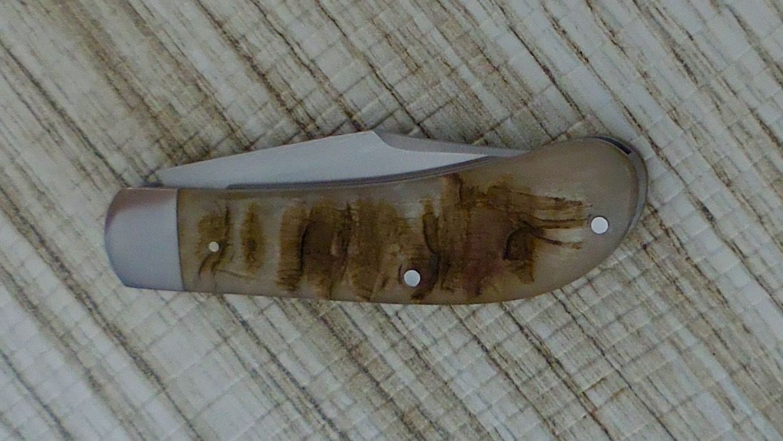DSCN7124_zpsbaeuho5a.jpg