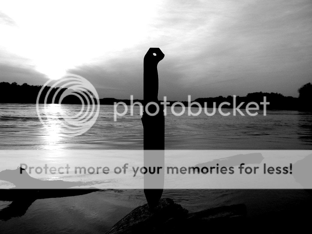 BK9MOSun2bw.jpg