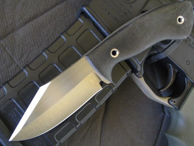 badger2011.jpg