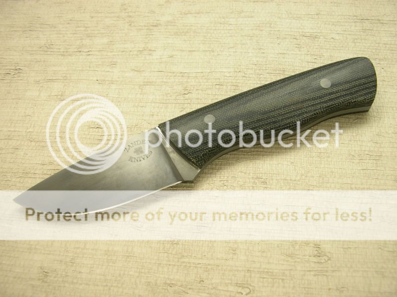 IMGP2143_zpsdea0adbc.jpg