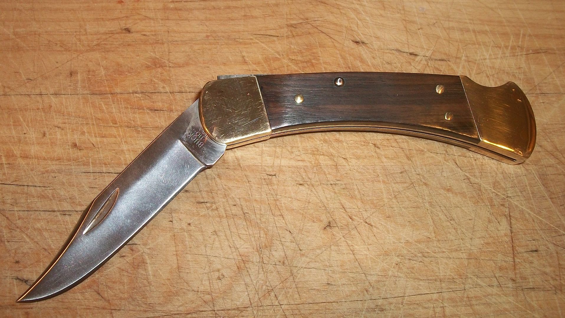101_1880.jpg