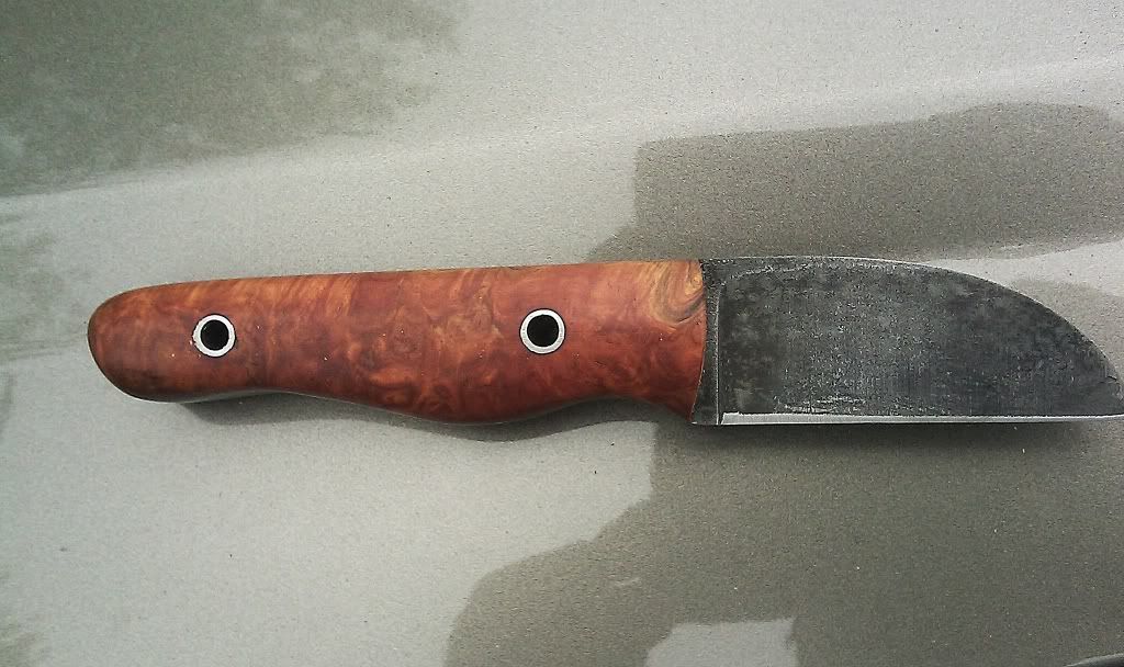 IMAG0161.jpg