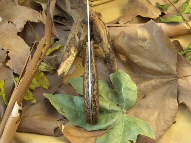 ChefKnives017.jpg