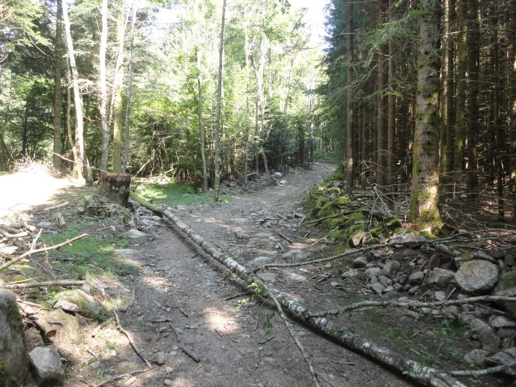 DSC01859.jpg
