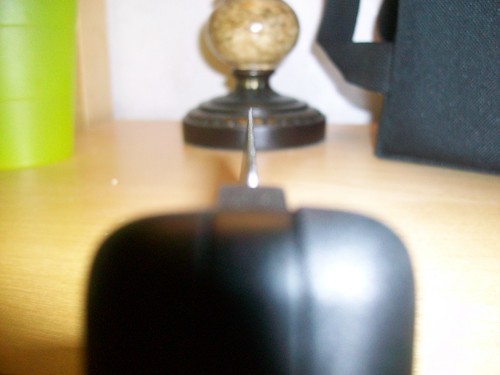 5735250119_13cb32d1ff.jpg