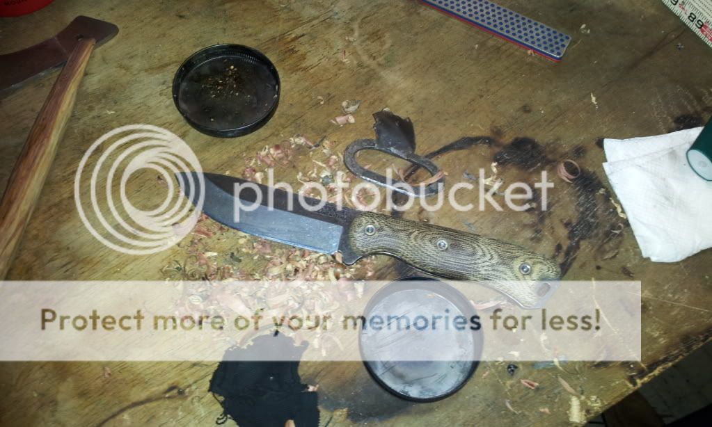 2012-02-15203335.jpg