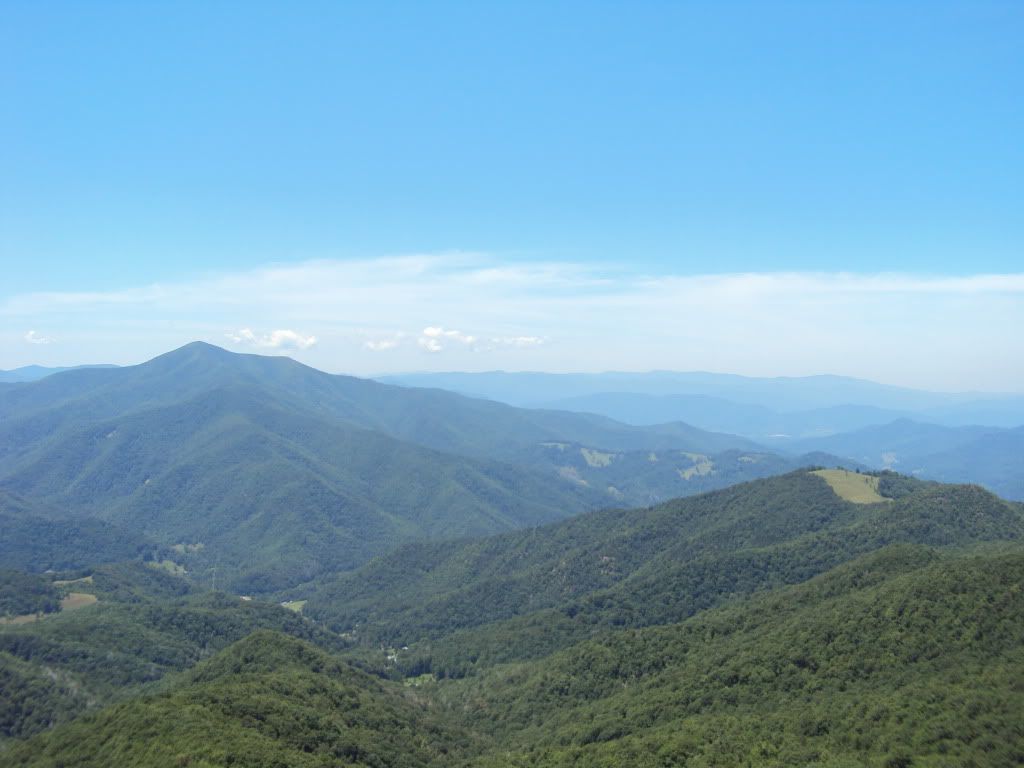 DSC00696.jpg