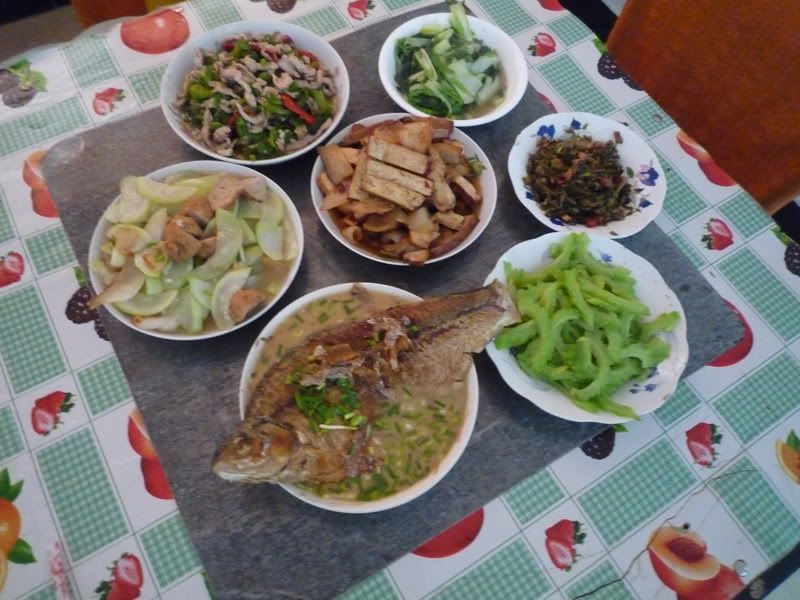 P1060474.jpg
