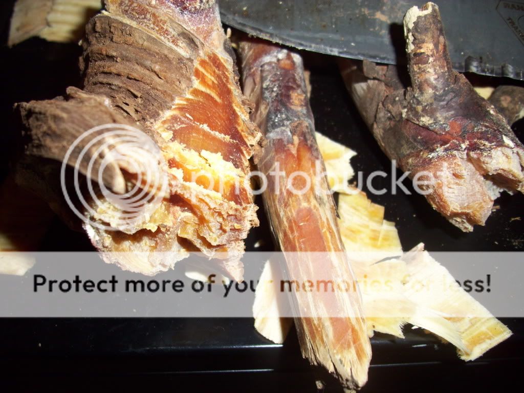 fatwood001.jpg