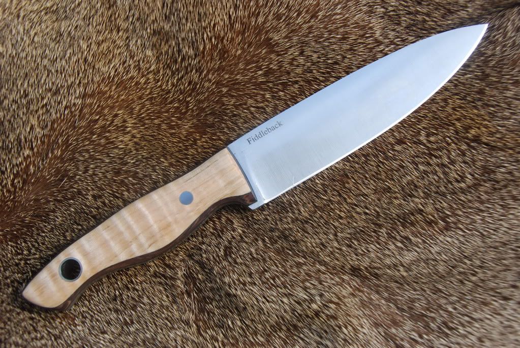 Fiddleback011.jpg