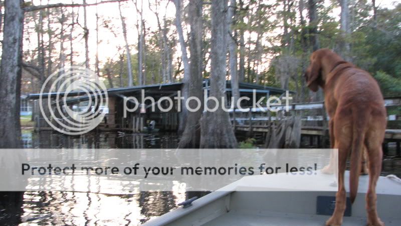 IMG_4066.jpg