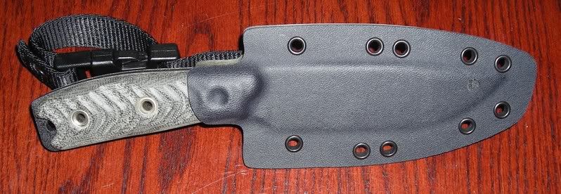 Picture035.jpg