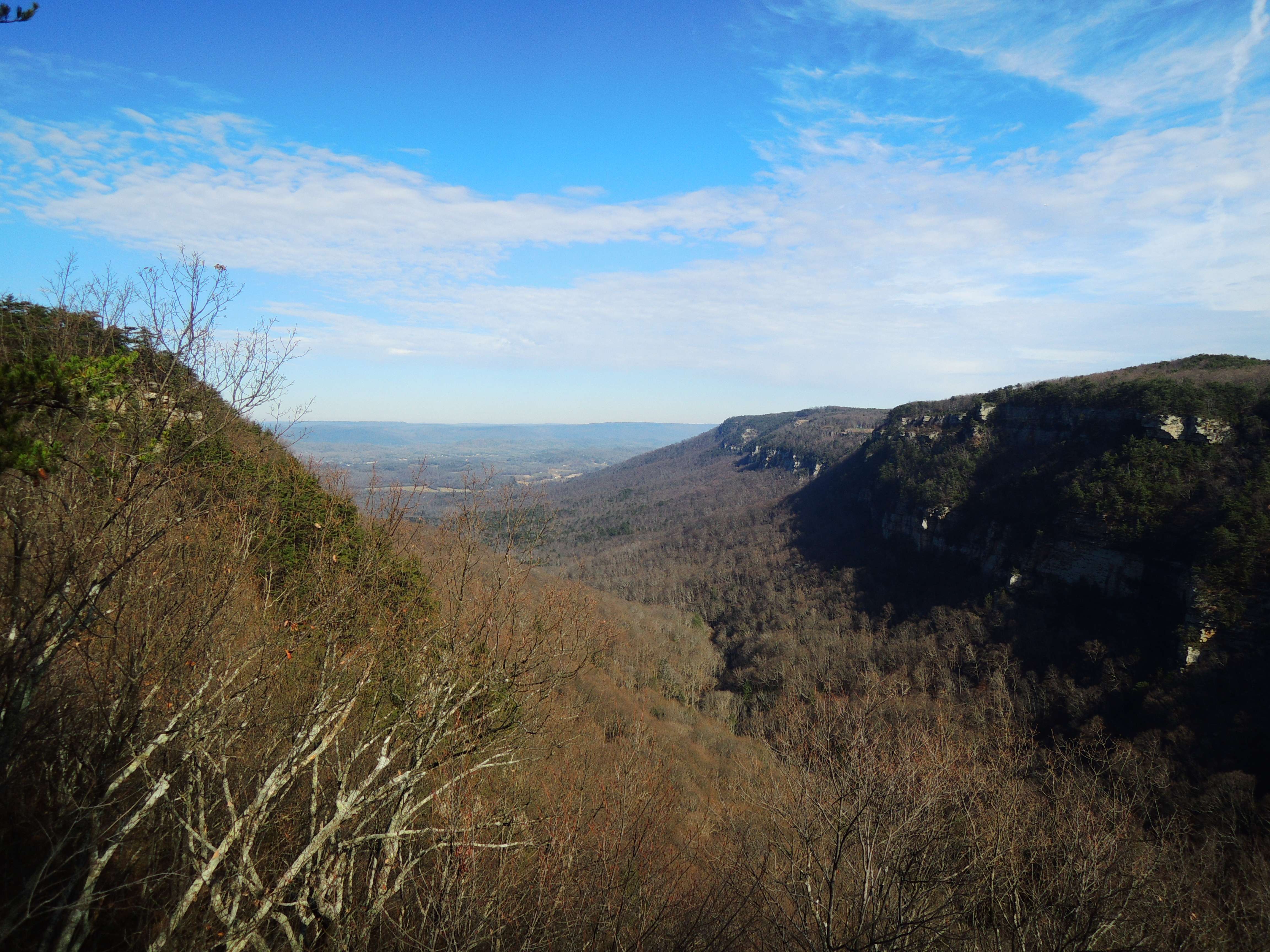 dscn3947np.jpg