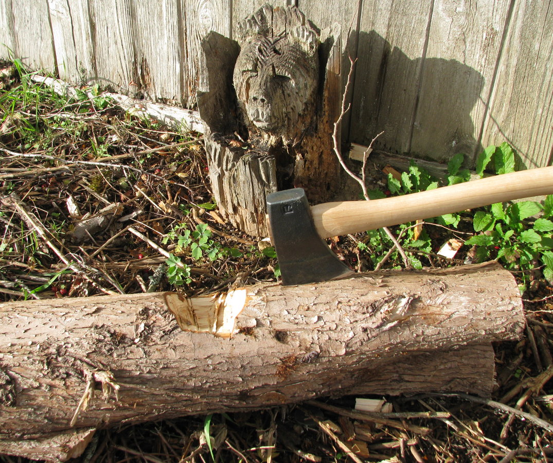 5-Semi-dry%20softwood.jpg