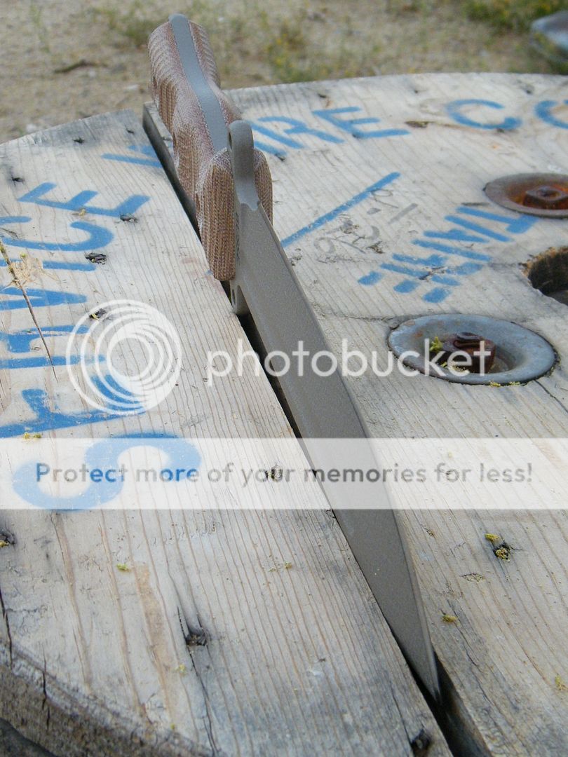 DSCF8895.jpg