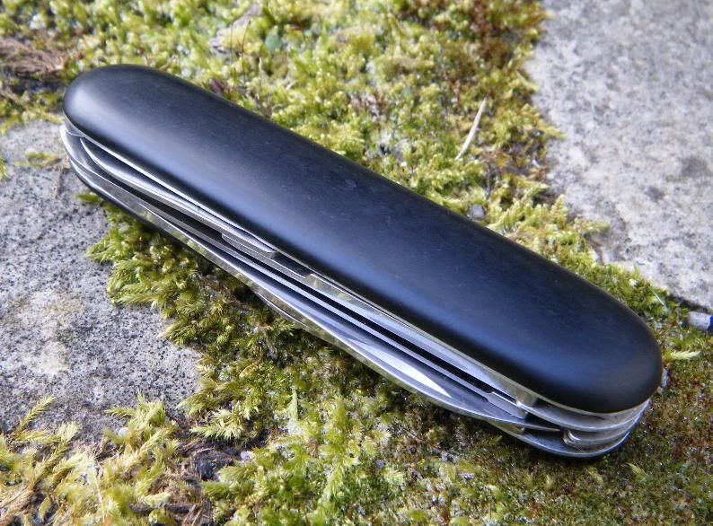FrontSide01.jpg