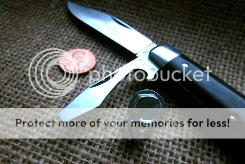 IMG_4388a.jpg~original