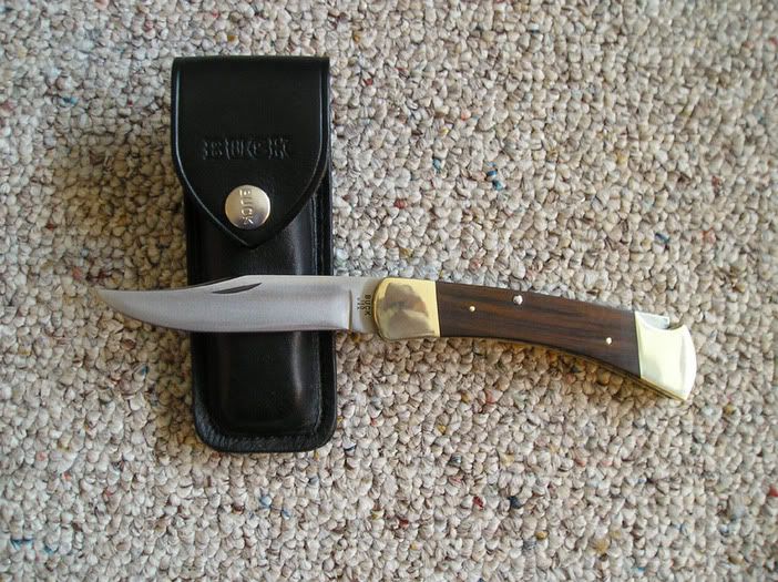 BuckFifthVersion110ThreeLineInverte.jpg