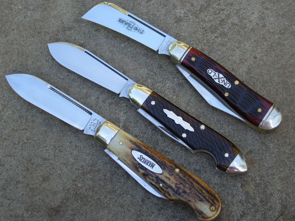 STP81019.jpg