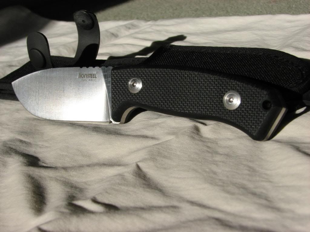 lion_steel004.jpg