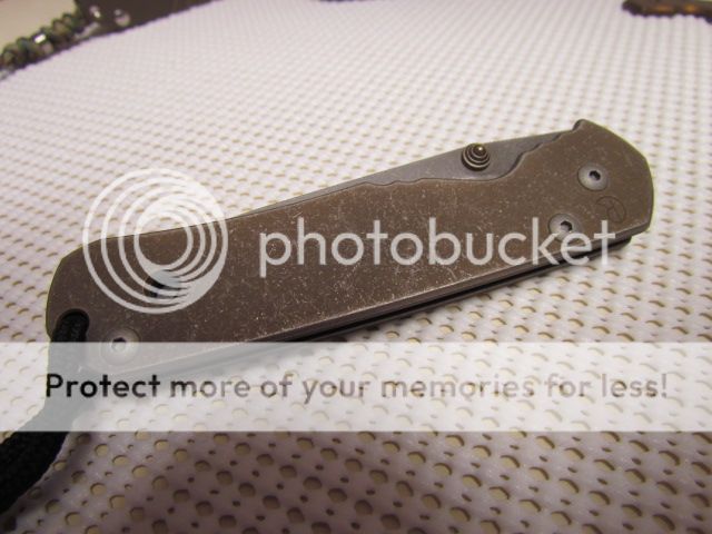 IMG_8082_zps1b3318d9.jpg