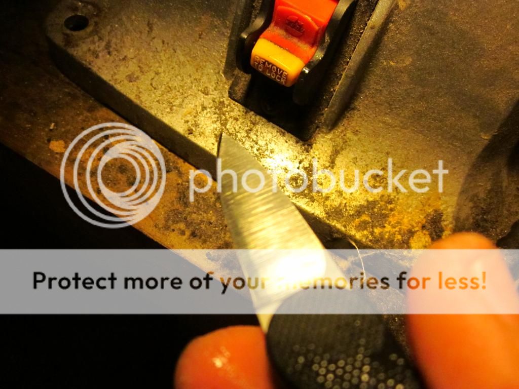 IMG_1721_zps6d3e8205.jpg