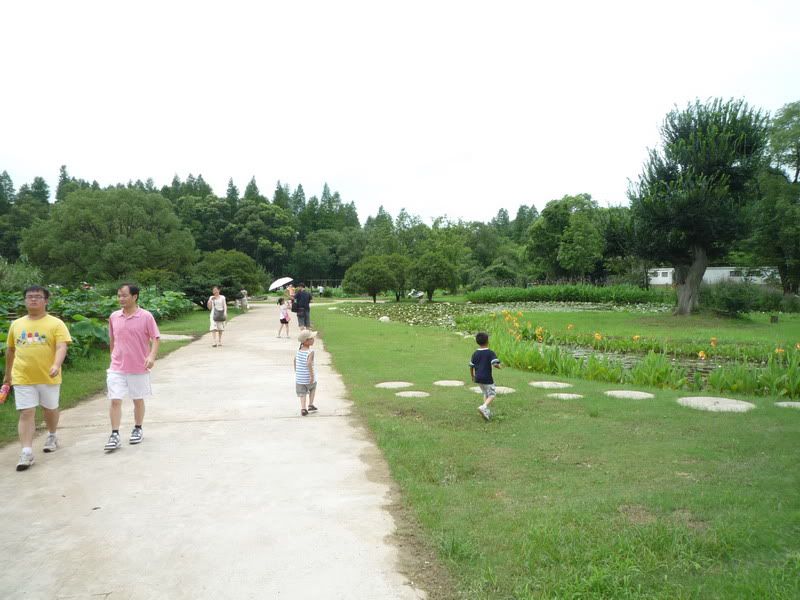 P1070965.jpg