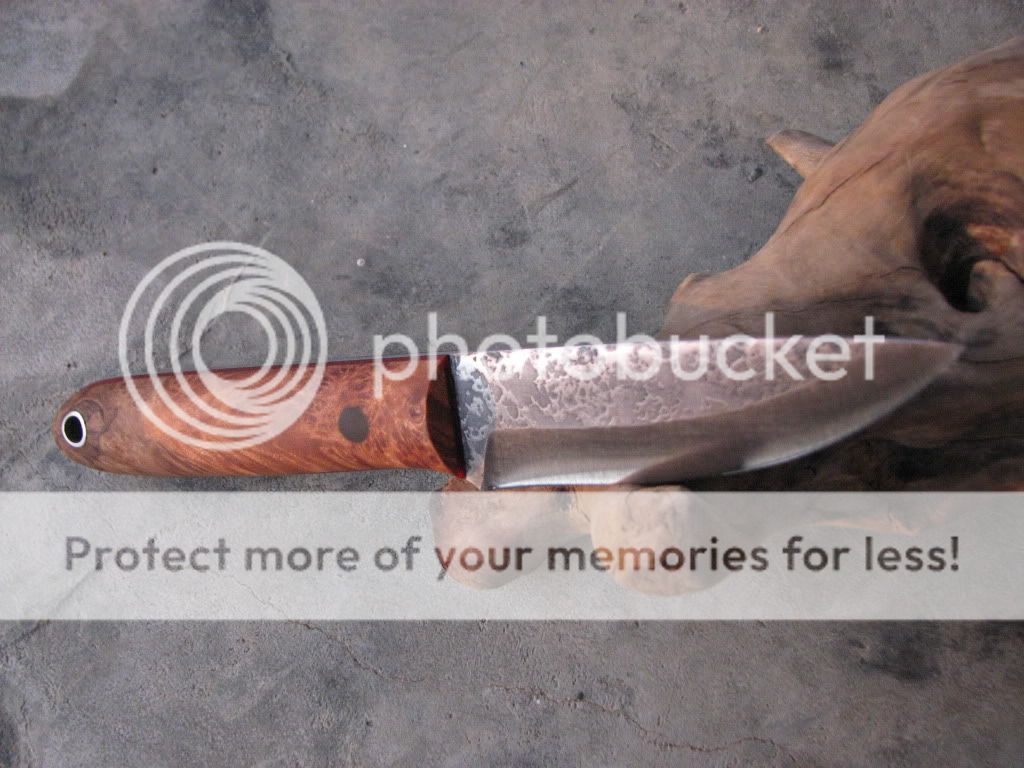 IMG_3740_zps73e2f28a.jpg