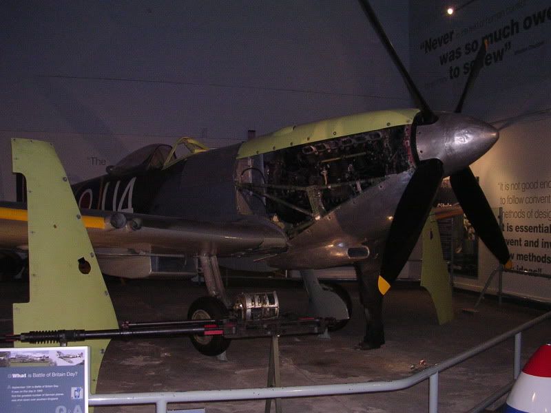 DSCN1946.jpg