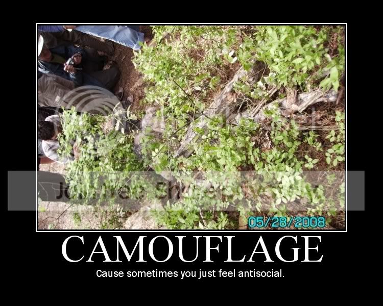 Camouflage-1.jpg