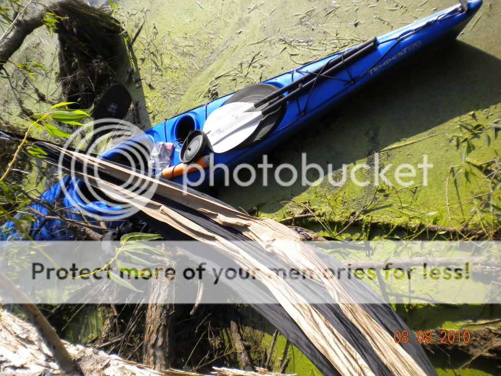 DSCN1276.jpg